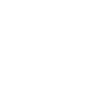 行业领先的安全性