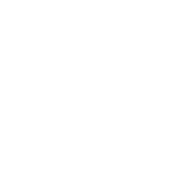 活跃的社区氛围